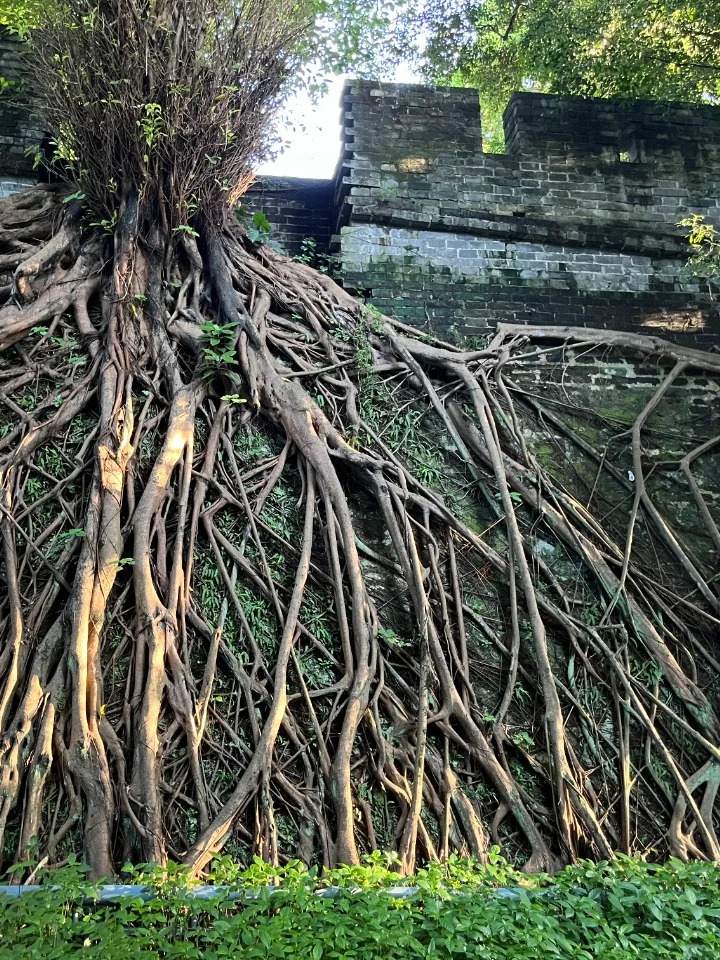 City Wall